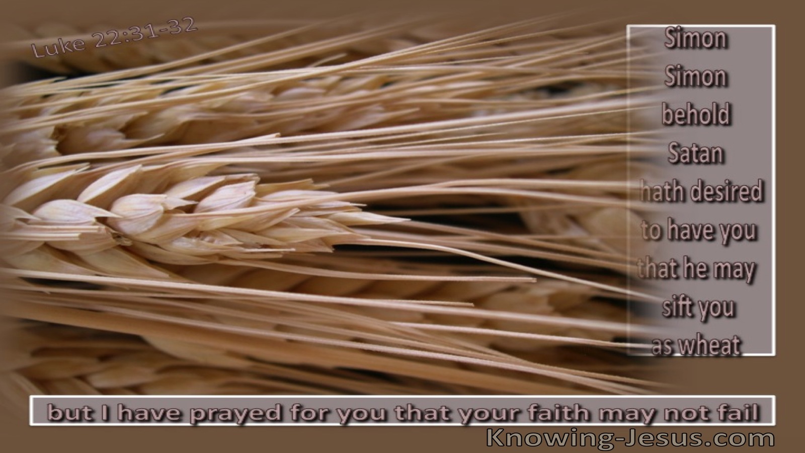 Luke 22:31 Sifted As Wheat (beige)